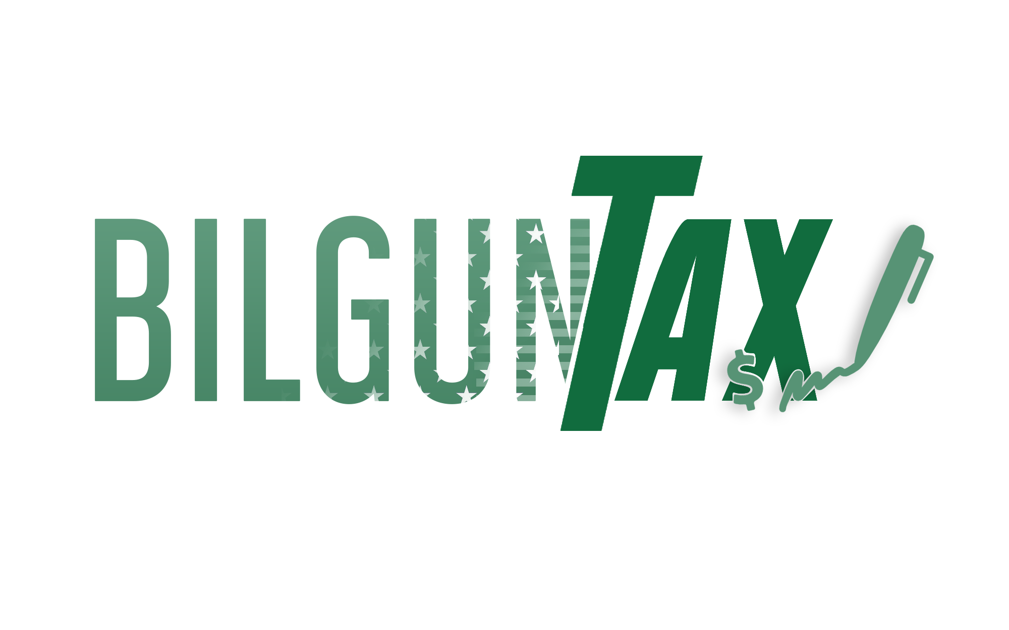 BilgunTax